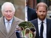 Prince Harry's Sandringham return only one simple message away, pal reveals