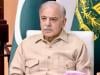 PM Shehbaz again urges public to avoid unnecessary travel, support austerity drive