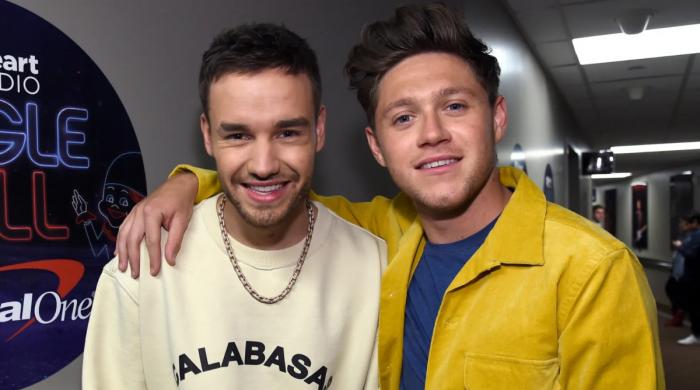 Niall Horan gives fans a glimpse into upcoming song about Liam Payne