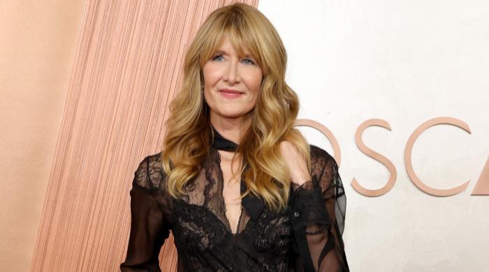 Laura Dern signs up for controversial Jeffrey Epstein series 
