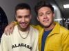 Niall Horan gives fans a glimpse into upcoming song about Liam Payne