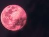 April full moon is not actually pink: Here's how it looks like