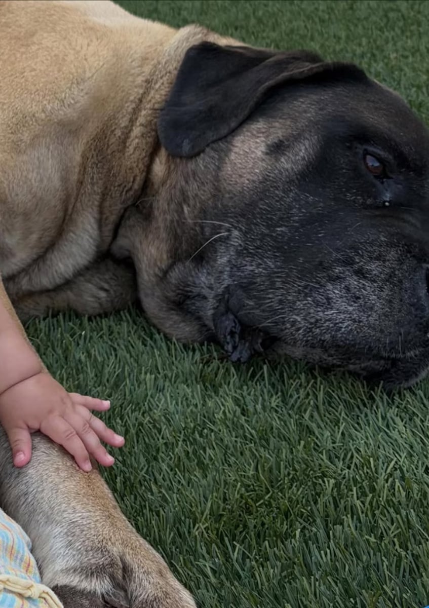 Millie Bobby Brown gives rare family update: See