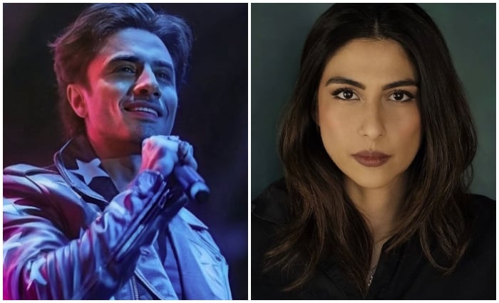 This collage shows undated photos of singer Ali Zafar (left) and artist Meesha Shafi. — Instagram/@ali_zafar/@meesha.shafi/File