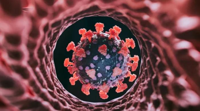 New COVID-19 variant ‘Cicada' is spreading: 5 symptoms to watch for