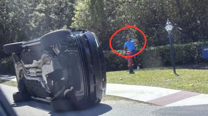 ‘Cops found opioids in Tiger Woods's pocket': Inside his stunning DUI arrest