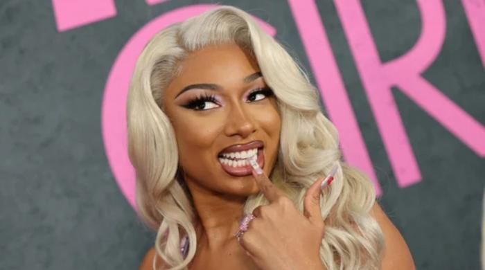 Megan Thee Stallion rushed to hospital mid performance