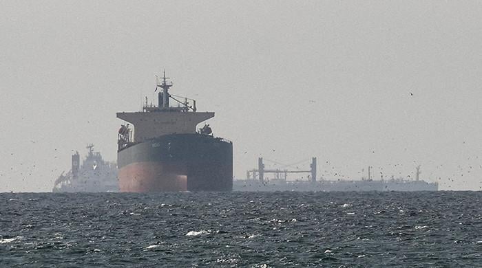 Govt mulls shipping options as Iran allows limited Hormuz passage