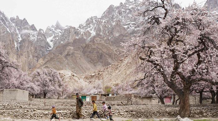 Pakistan's blossom season brings calm in a troubled world