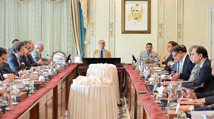 Pakistan successfully managing demand, supply of essential goods amid Mideast conflict: PM