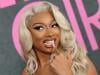 Megan Thee Stallion rushed to hospital mid performance