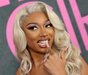 Megan Thee Stallion rushed to hospital mid performance