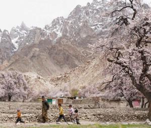 Pakistan's blossom season brings calm in a troubled world