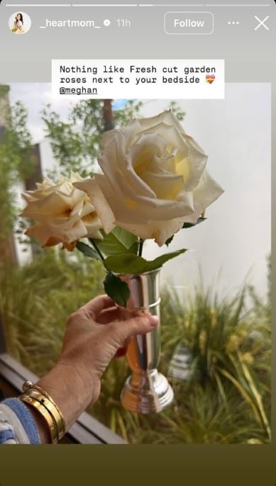 Meghan makes quiet move from Montecito amid Harrys intimate texts buzz