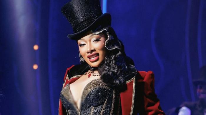 Megan Thee Stallion breaks silence after hospitalisation: 'Wake-up call'