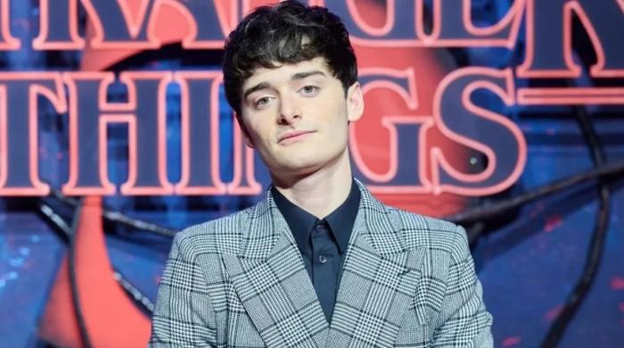 Noah Schnapp's surprise romance reveal has fans talking