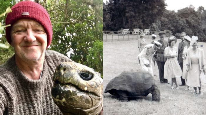 Jonathan, world's oldest known land animal falsely named in viral crypto death hoax