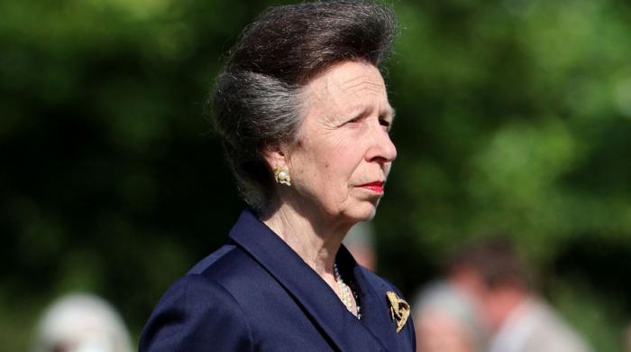 Princess Anne receives praise for meaningful task: ‘real honour'