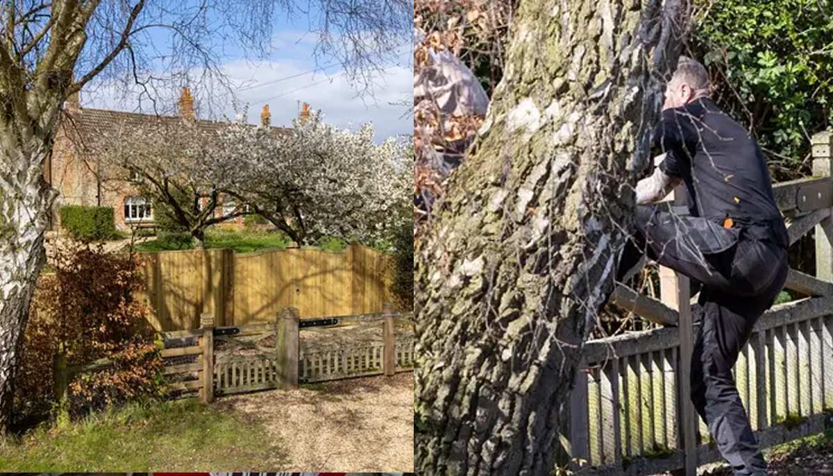 Andrews escape plan takes shape after security breach: Shocking update