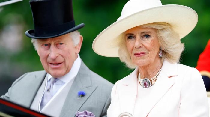 King Charles, Camilla's new video meets with strong criticism: Here's why