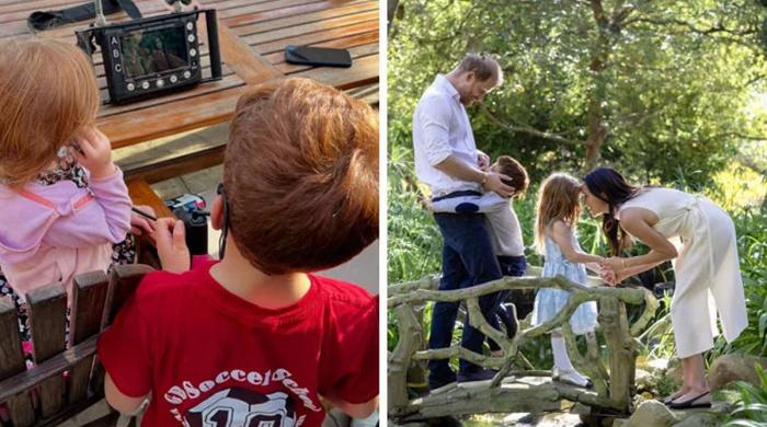 Prince Harry makes desperate plea to King Charles for Archie, Lilibet