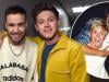 Niall Horan looks back on 'unreal' tour with Liam Payne ahead of new era
