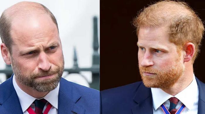 Prince William, Harry reunite in tearful moment