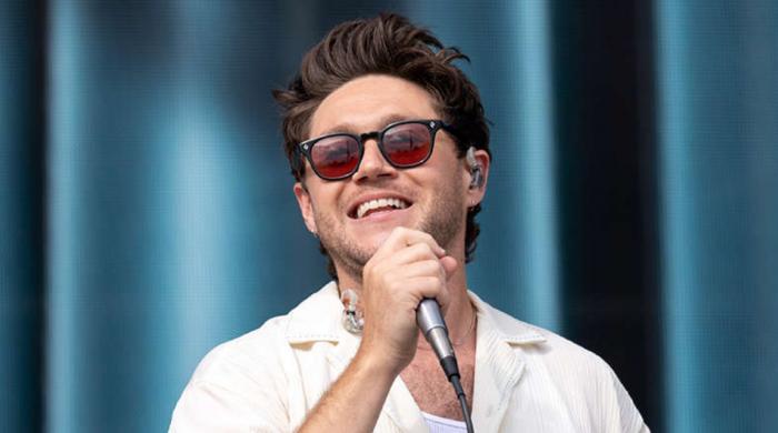Niall Horan teases surprising album title after 'Dinner Party'