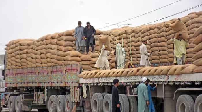 Govt to replace Passco with Rs350bn wheat firm to tackle debt