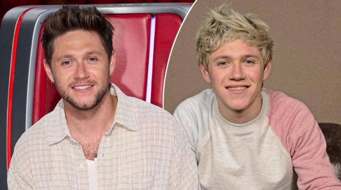 Niall Horan reveals One Direction song he 'absolutely hate'
