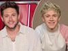 Niall Horan reveals One Direction song he 'absolutely hate'