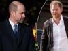 Royal family faces fresh setback as William, Harry rift rears its head