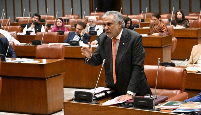 Deputy Prime Minister and Foreign Minister Ishaq Dar addresses the Senate on March 5, 2026. — Senate of Pakistan/Facebook