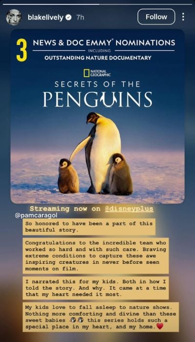 Blake Lively says new project came when my heart needed it most