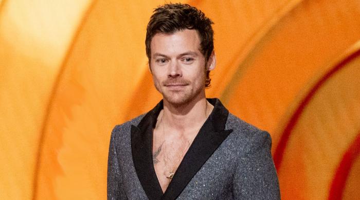 Harry Styles unveils tastefully curated lineup for 2026 Meltdown Festival