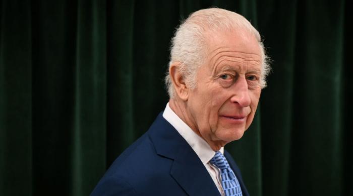 King Charles meeting with Epstein victims: Palace responds after backlash