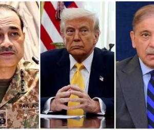 Trump pauses Iran strikes, agrees to two-week ceasefire after Pakistan's intervention