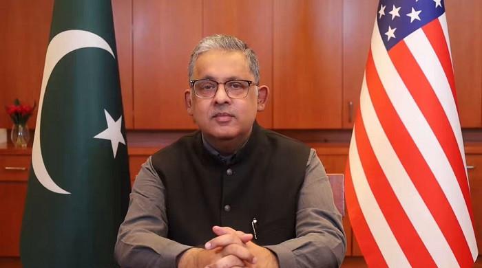 'Victory of diplomacy': Pakistan's outreach united key players, secured ceasefire: envoy