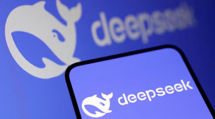 Waiting for DeepSeek: New model to test China's AI ambitions
