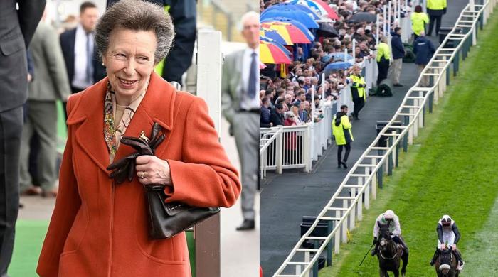 Princess Anne adds an orange splash to eainy Aintree races