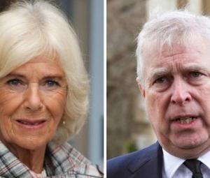 Queen Camilla hidden force behind Andrew's downfall : 'Won't forgive'
