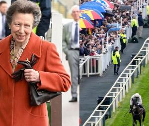 Princess Anne adds an orange splash to eainy Aintree races