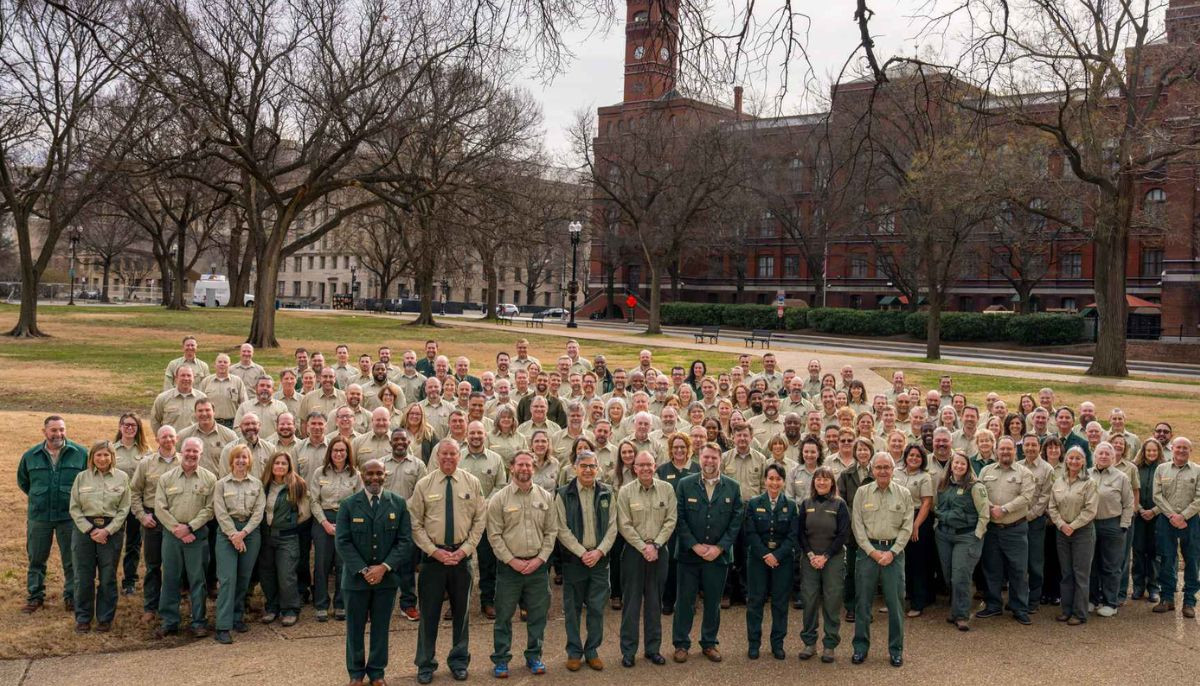 Trump administration dismantling US Forest Service: Here's what it means 