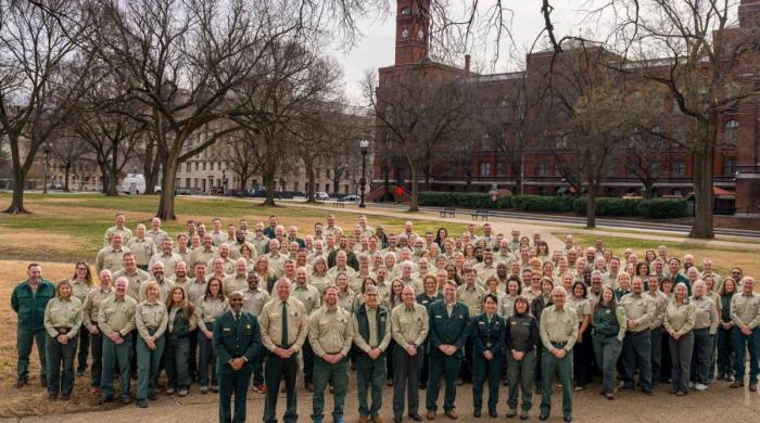 Trump administration dismantling US Forest Service: Here's what it means 