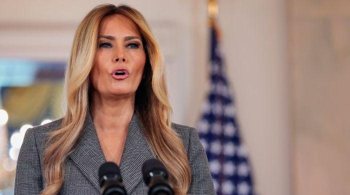 Melania Trump denies any Epstein connection, seeks end to 'lies'