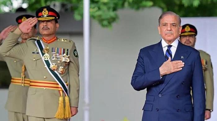 Pakistan's diplomatic influence