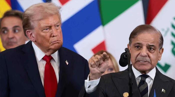 Majority endorses Pakistan's mediation efforts in US-Iran crisis: survey 