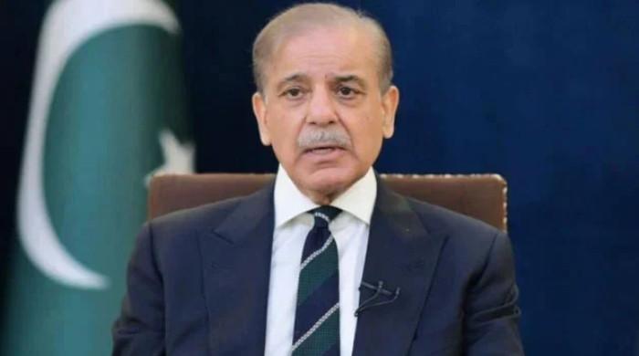 PM Shehbaz addresses nation on fuel prices and petroleum stocks