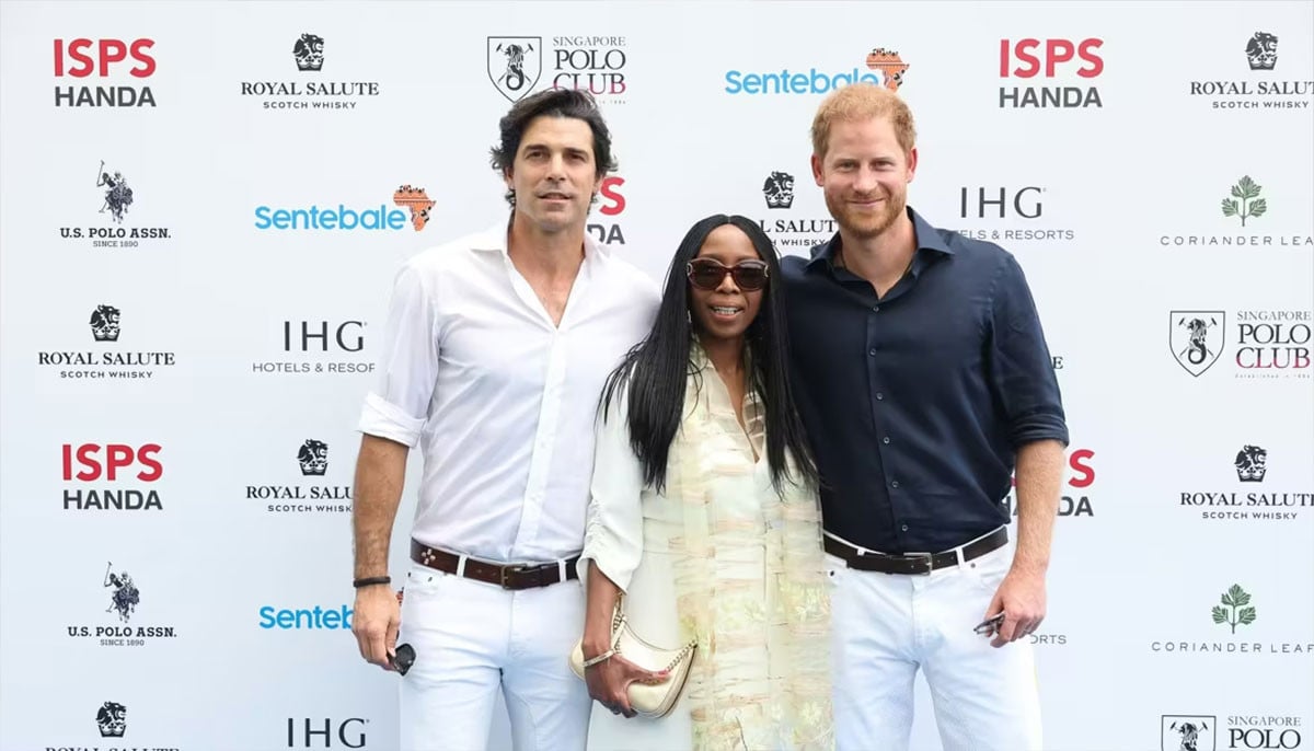 Prince Harry caught in royal rumble as charity cries ‘protection'