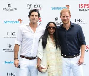 Prince Harry caught in royal rumble as charity cries ‘protection'